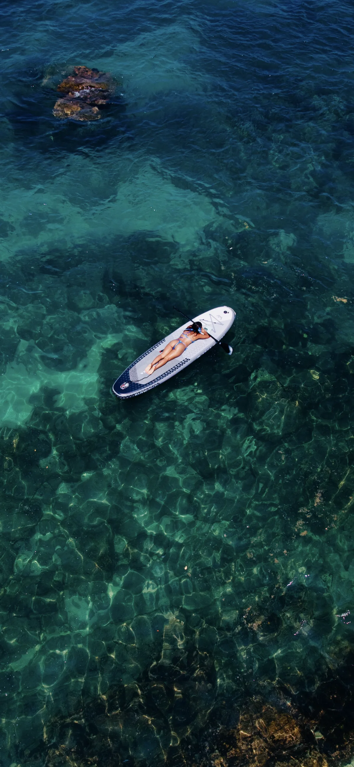 Vida marina en Estacahuite